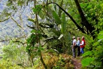 San Jorge Tandayapa Cloud Forest Hummingbird Sanctuary
