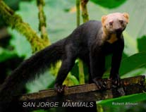 San Jorge de Milpe Orchid & Bird Reserve