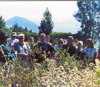 Medicinal Plant Tour Ecuador