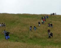 pale mandile  san jorge ecolodge quito ecuador birding