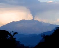 scarlet bellied mountain tanager san jorge ecolodge quito ecuador birding