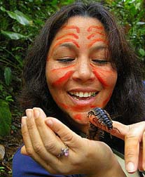 ecuador birding bird watching tours