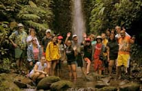 ecuador birding bird watching tours